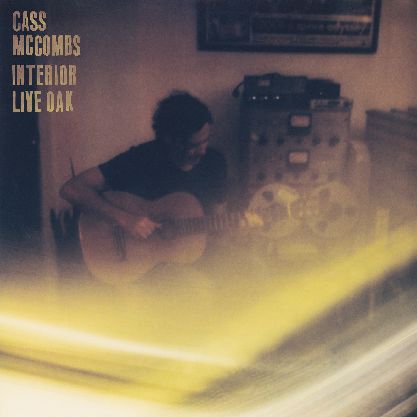 Interior Live Oak (Vinyl)