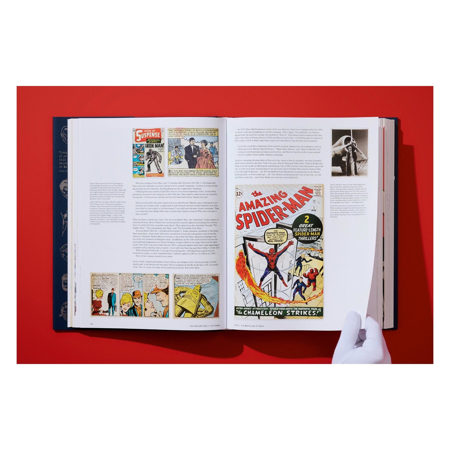 The Stan Lee Story (English)