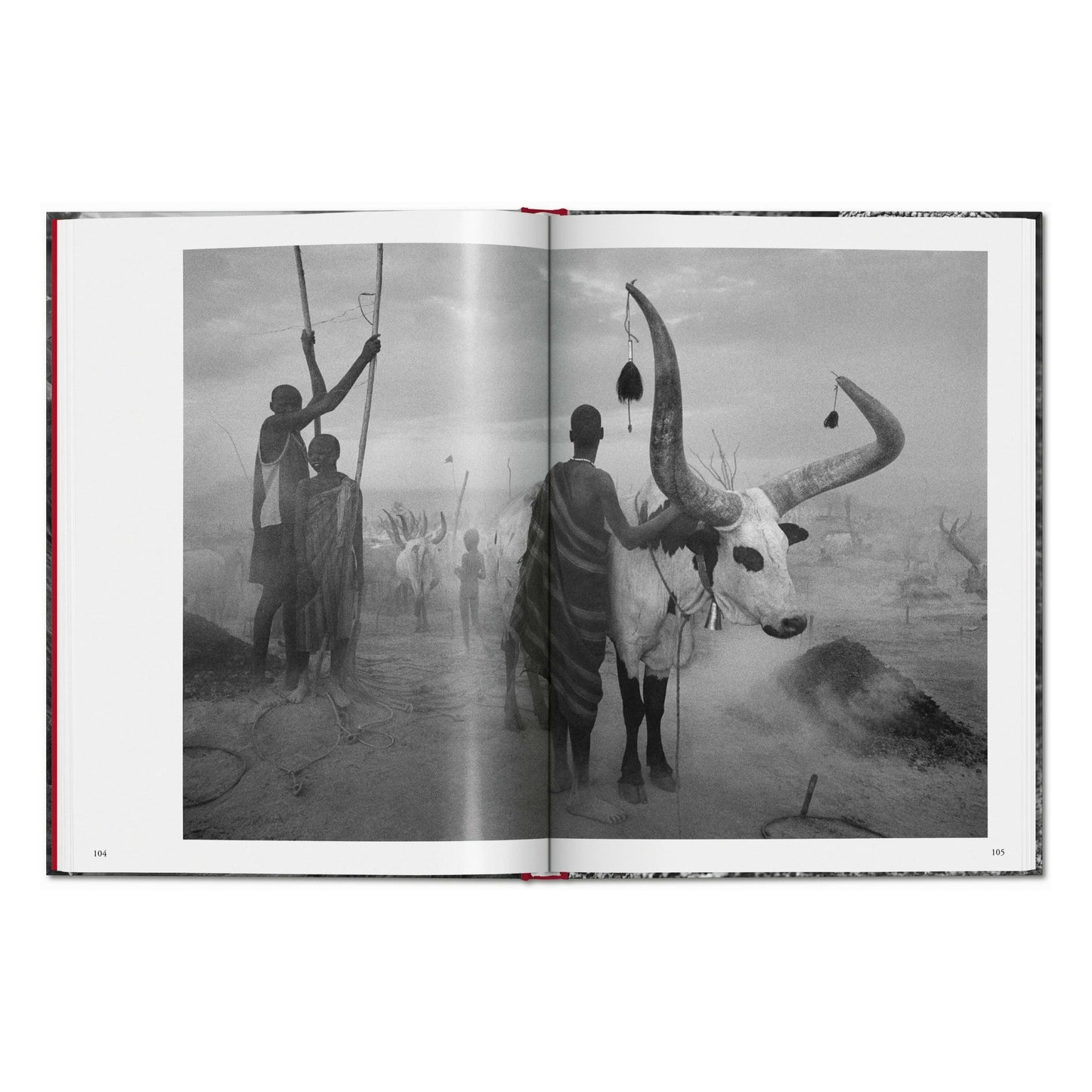 Sebastião Salgado. Genesis (English)