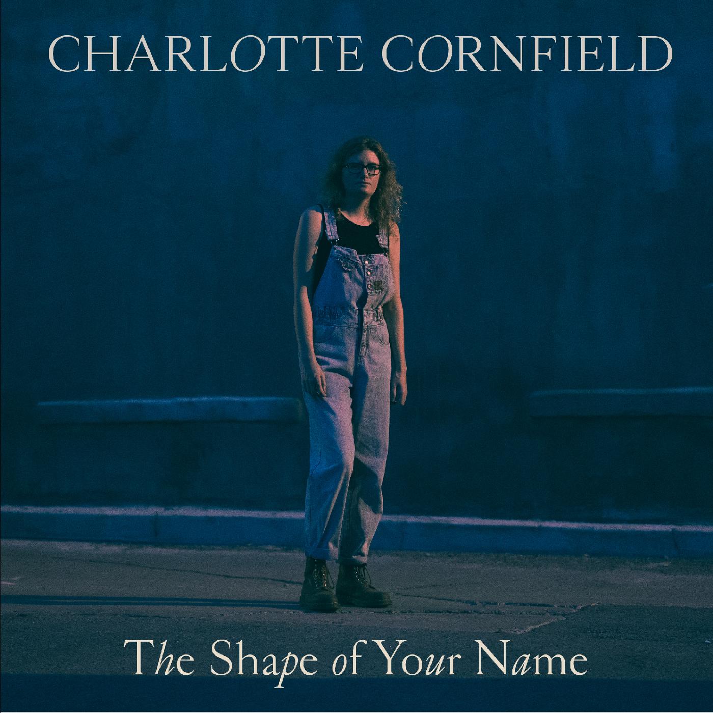 The Shape of Your Name - Deluxe Reissue (BLUE VINYL) (Vinyl)