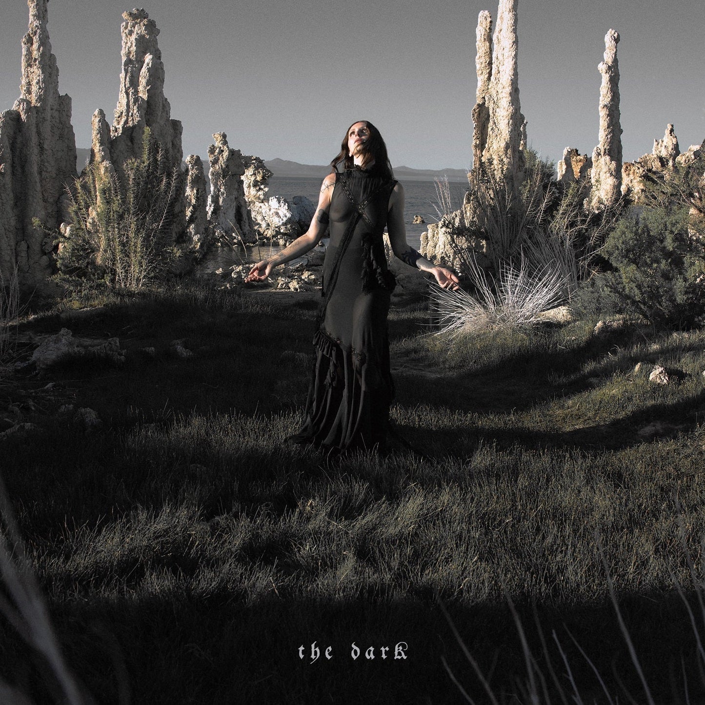 PRE-ORDER Chelsea Wolfe - The Dark [LP] [Vinyl]