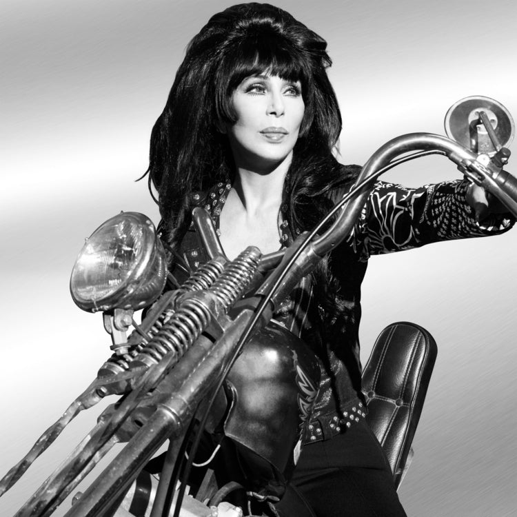 Cher Forever [Vinyl]