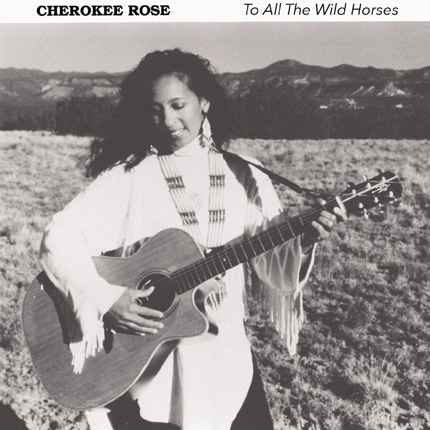 To All The Wild Horses (CD)