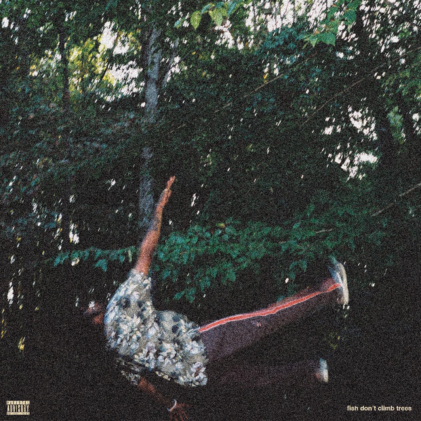 fish don't climb trees (Vinyl)