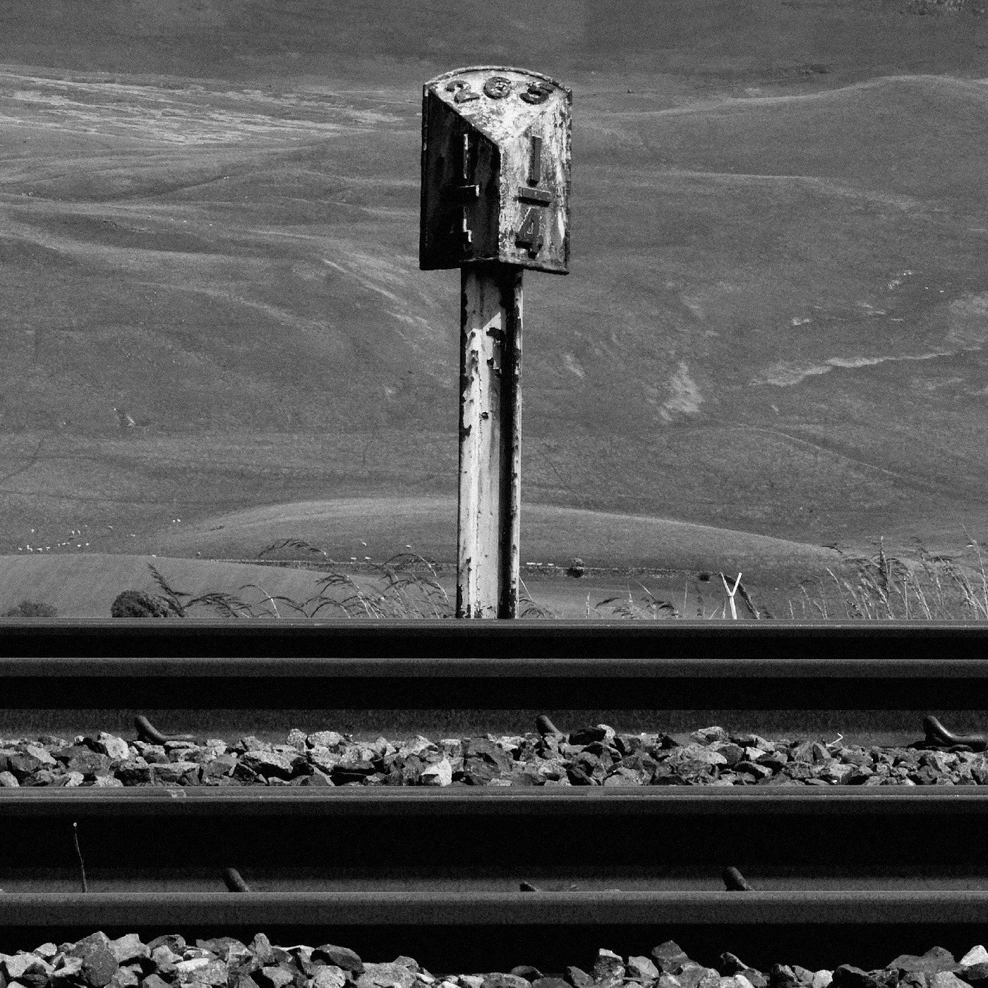 Sidings [Vinyl]