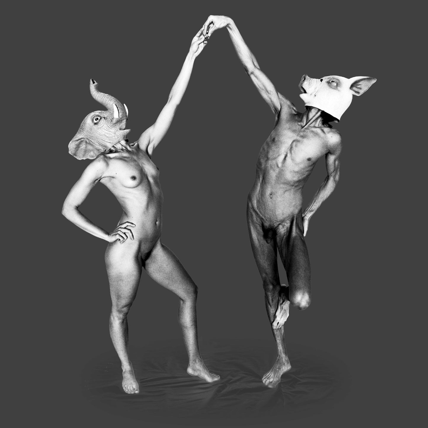 Forfeit/Fortune (Deluxe CD+DVD ) (CD)