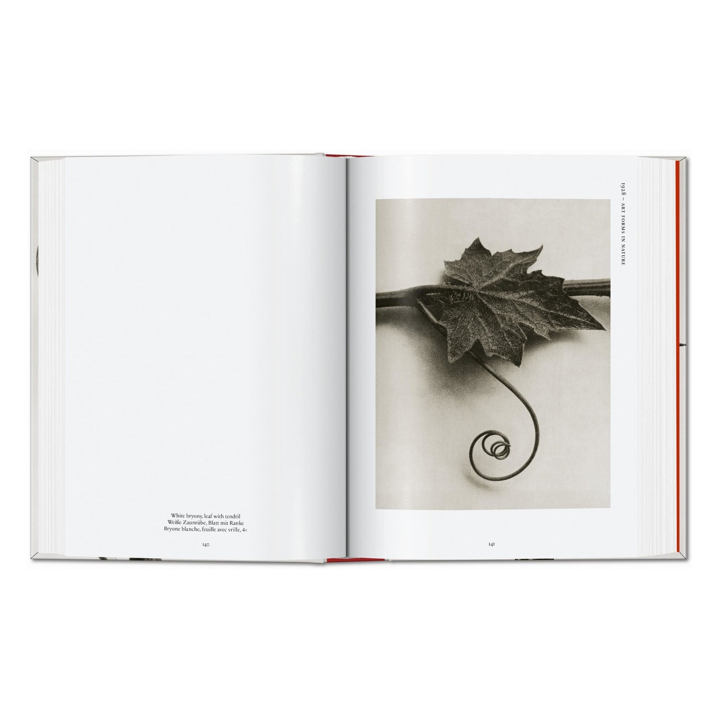 Karl Blossfeldt. The Complete Published Work. 45th Ed. (German, French, English)