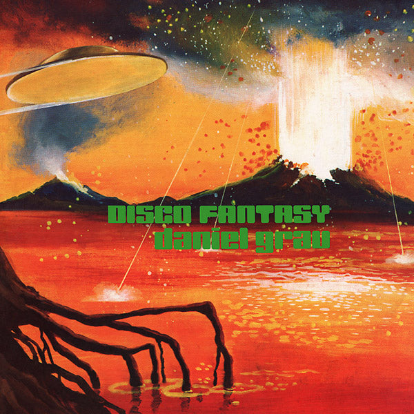 Disco Fantasy (Vinyl)