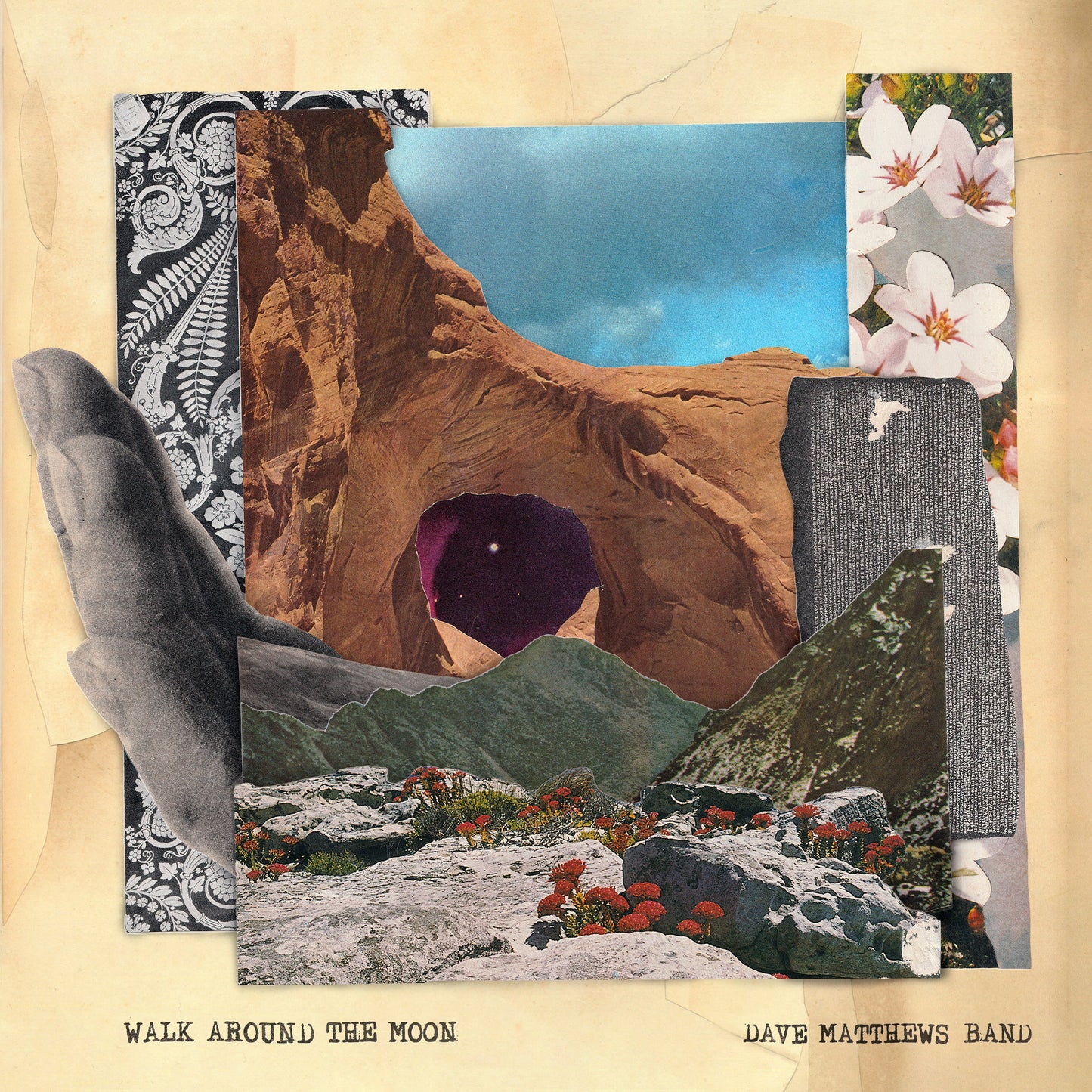 Walk Around The Moon (Clear Vinyl, Indie Exclusive) (Vinyl)