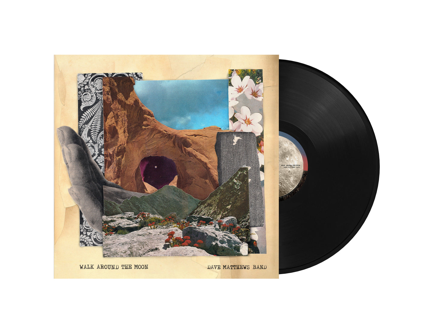Dave Matthews Band Walk Around The Moon (Wide Vinyl, Black) [Vinyl]