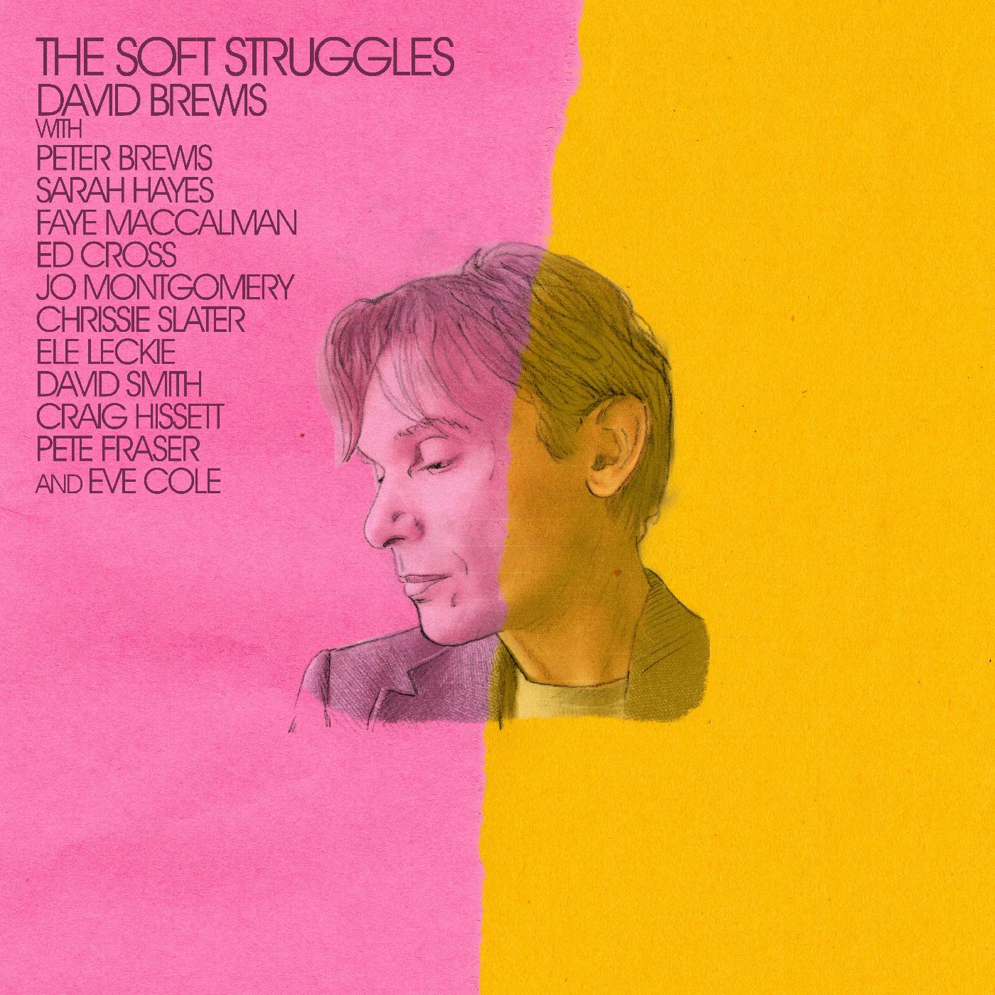 The Soft Struggles (Vinyl) - Golden Apple Comics