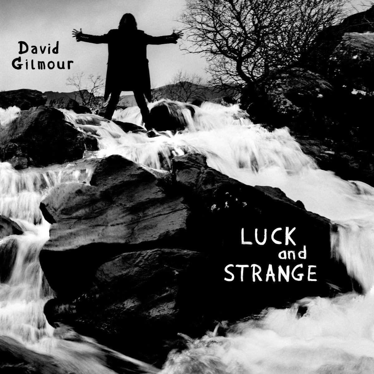 David Gilmour Luck and Strange [Vinyl]