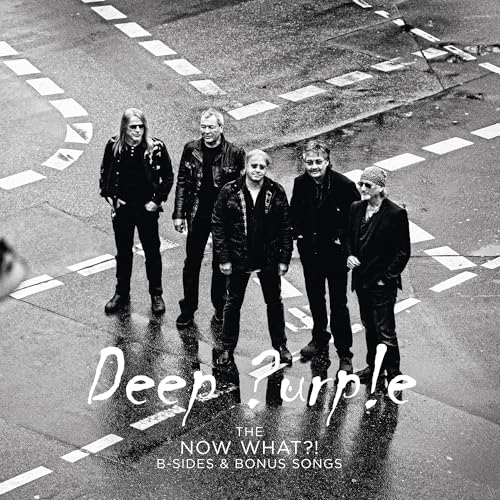 The Now What?! B-Sides And Bonus Songs (Purple Lp) (Vinyl)