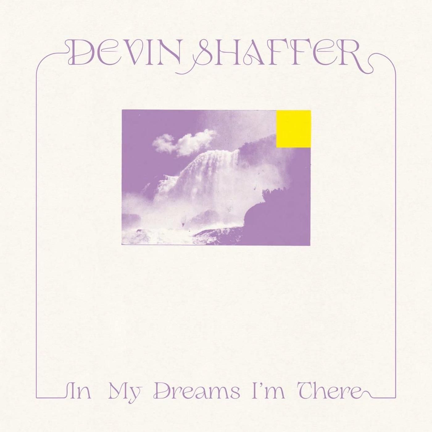 In My Dreams I'm There (Vinyl)