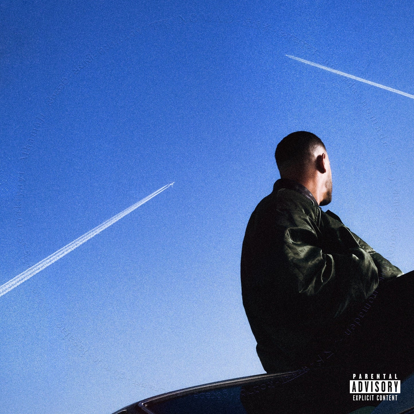 Nomad [Translucent LP] [Vinyl]