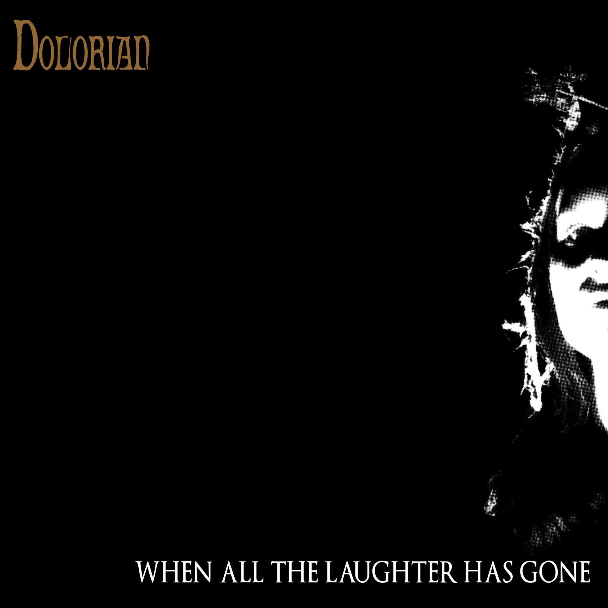 When All The Laughter Has Gone [2LP] [Vinyl] - Golden Apple Comics