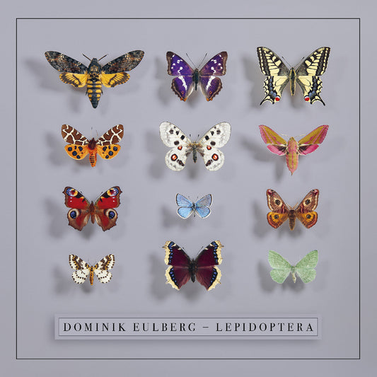 Lepidoptera (Vinyl)