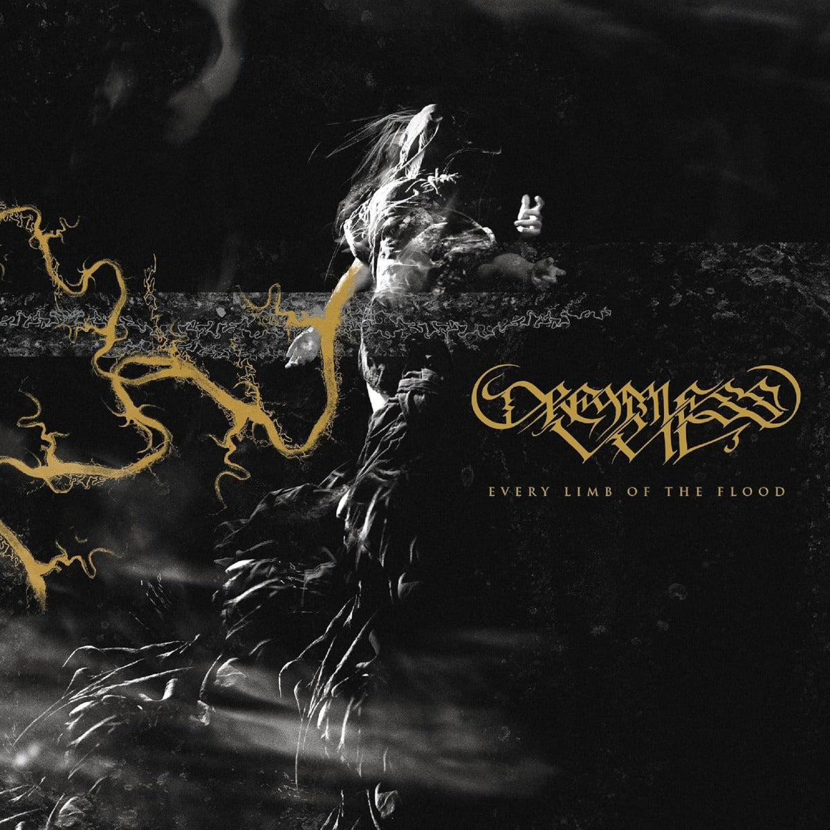 Every Limb Of The Flood (CD)