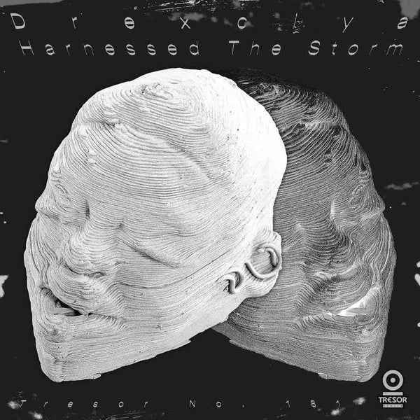 Harnessed The Storm (Vinyl)