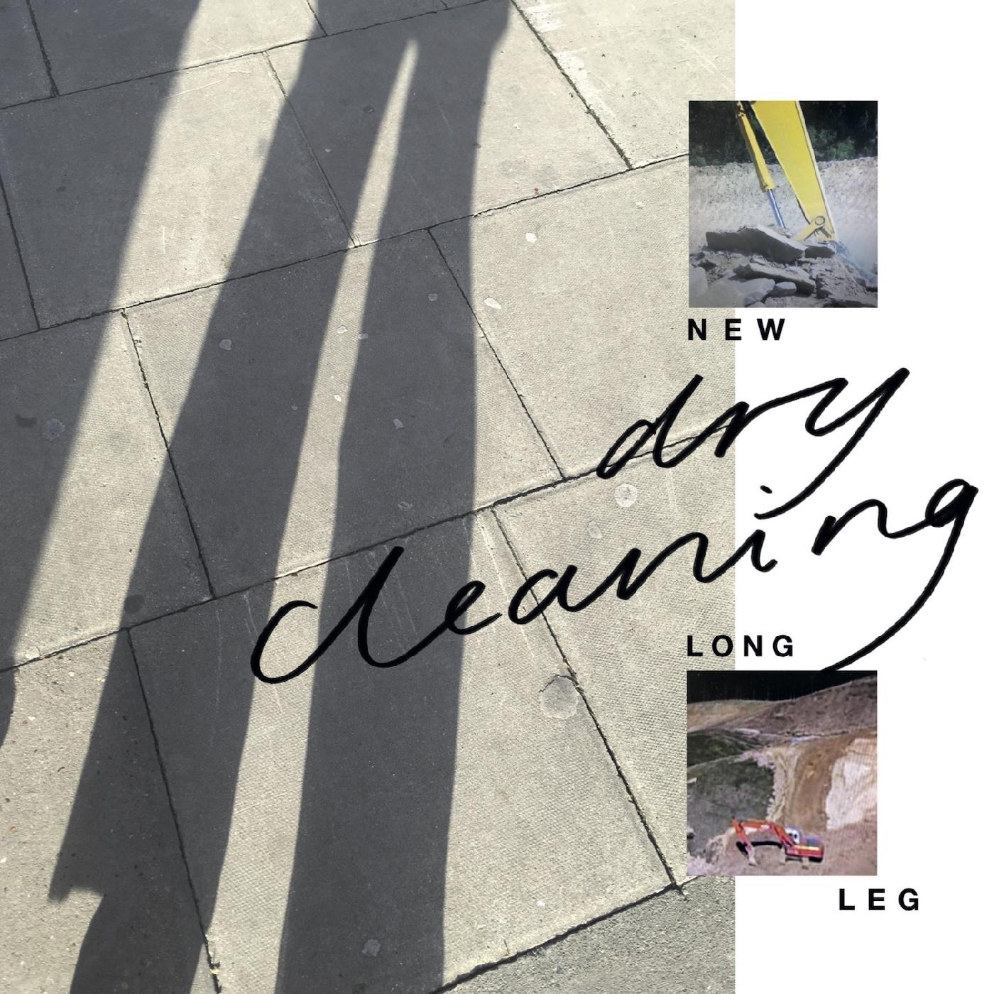 New Long Leg (CD)