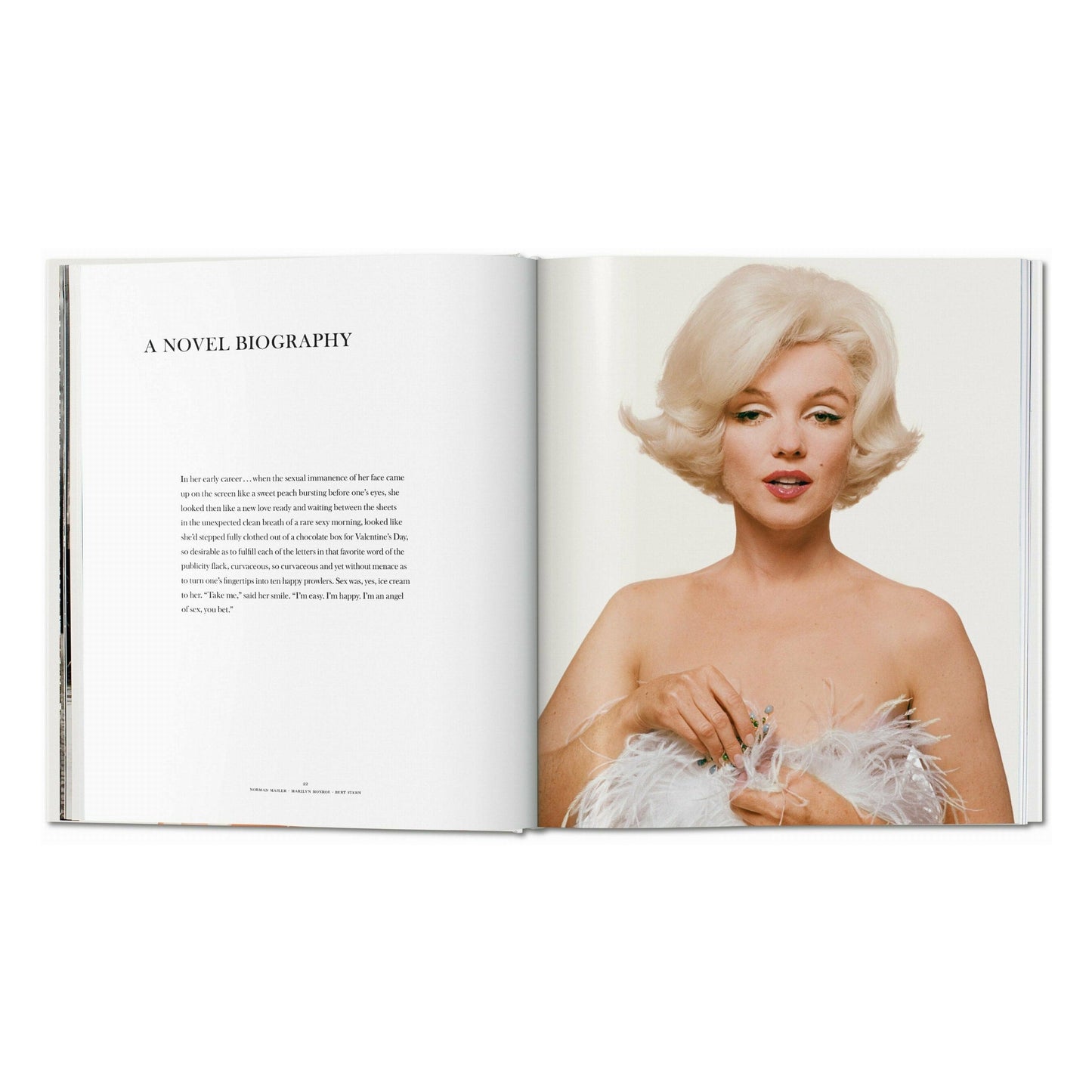 Norman Mailer. Bert Stern. Marilyn Monroe (English)