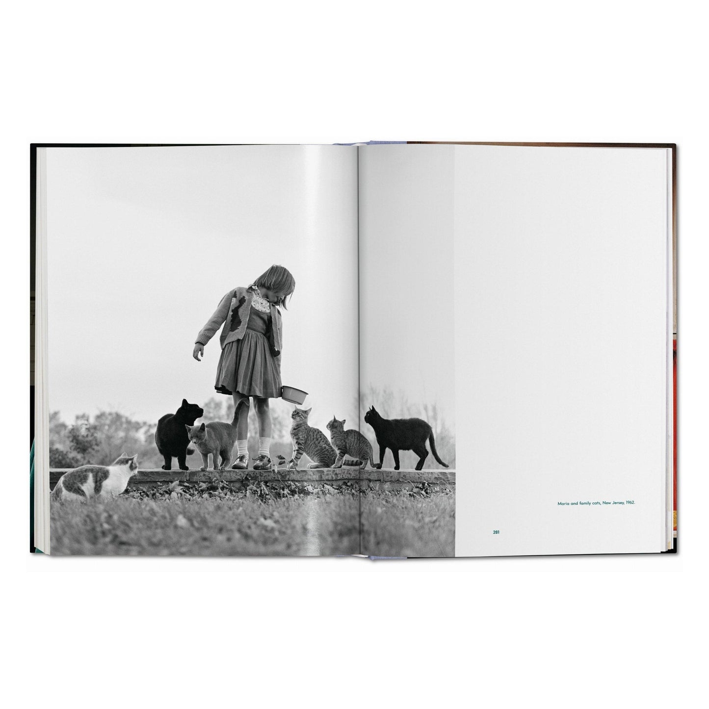 Walter Chandoha. Cats. Photographs 1942–2018 (German, French, English)