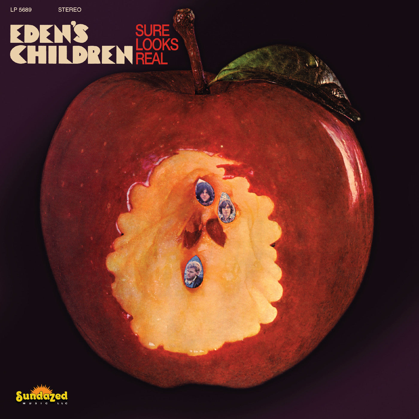 Sure Looks Real (Maroon Vinyl) [Vinyl]