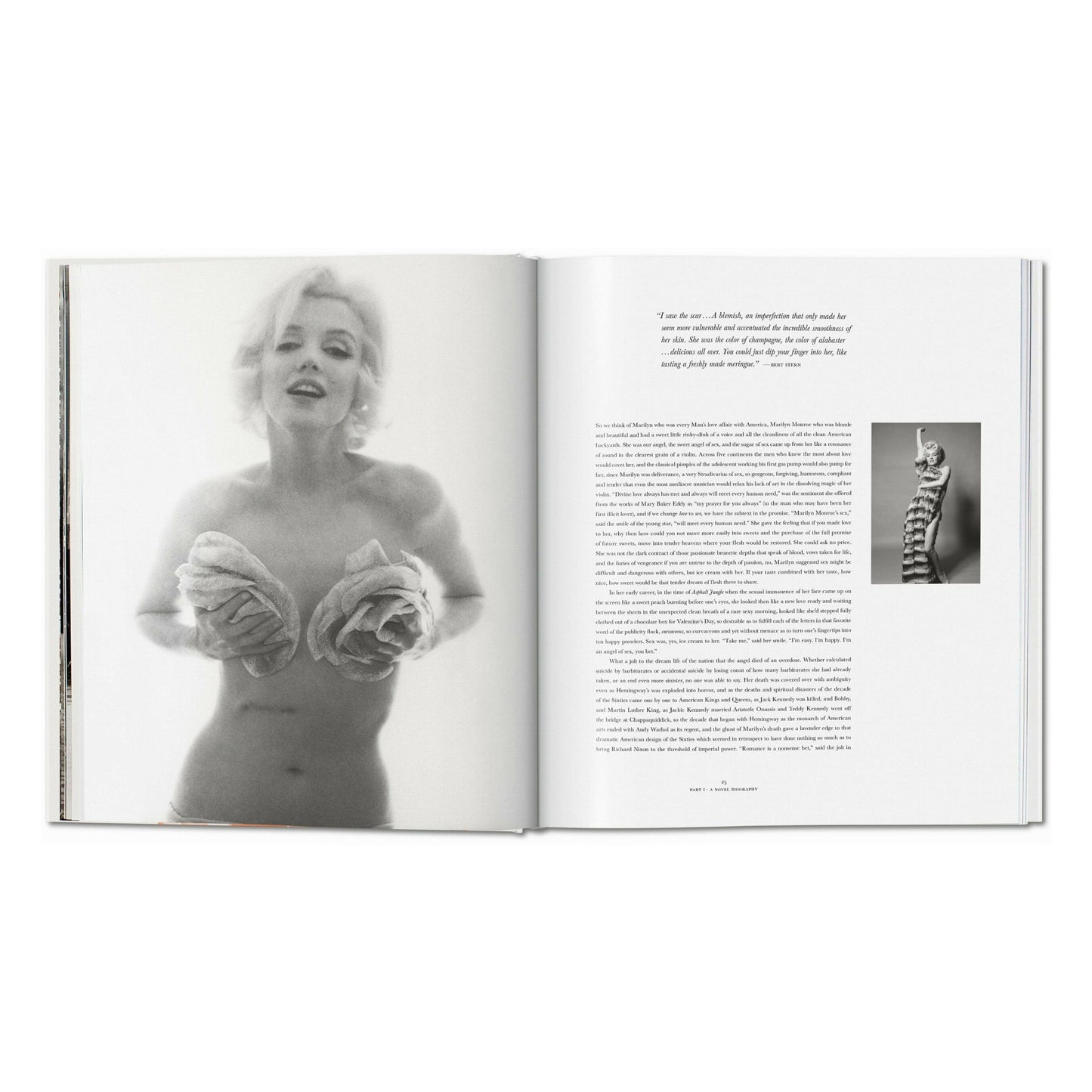 Norman Mailer. Bert Stern. Marilyn Monroe (English)
