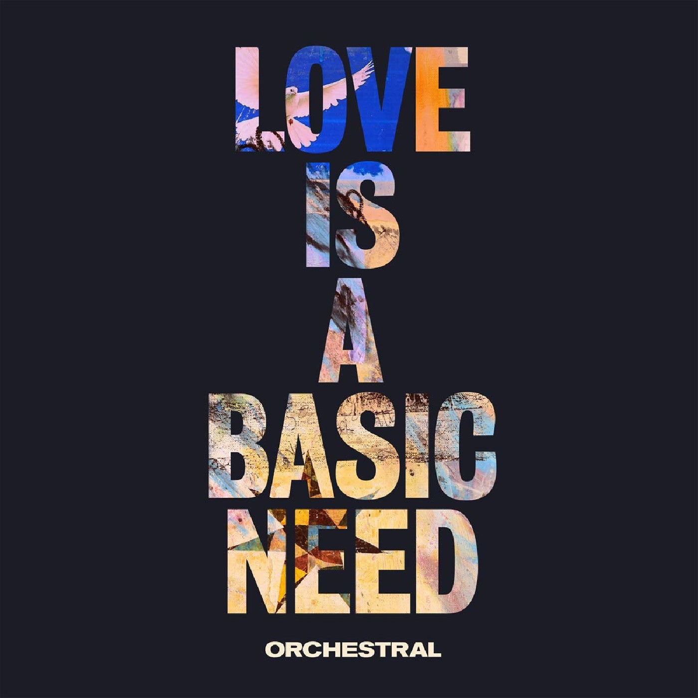 Embrace - Love Is A Basic Need (Orchestral) [Vinyl]