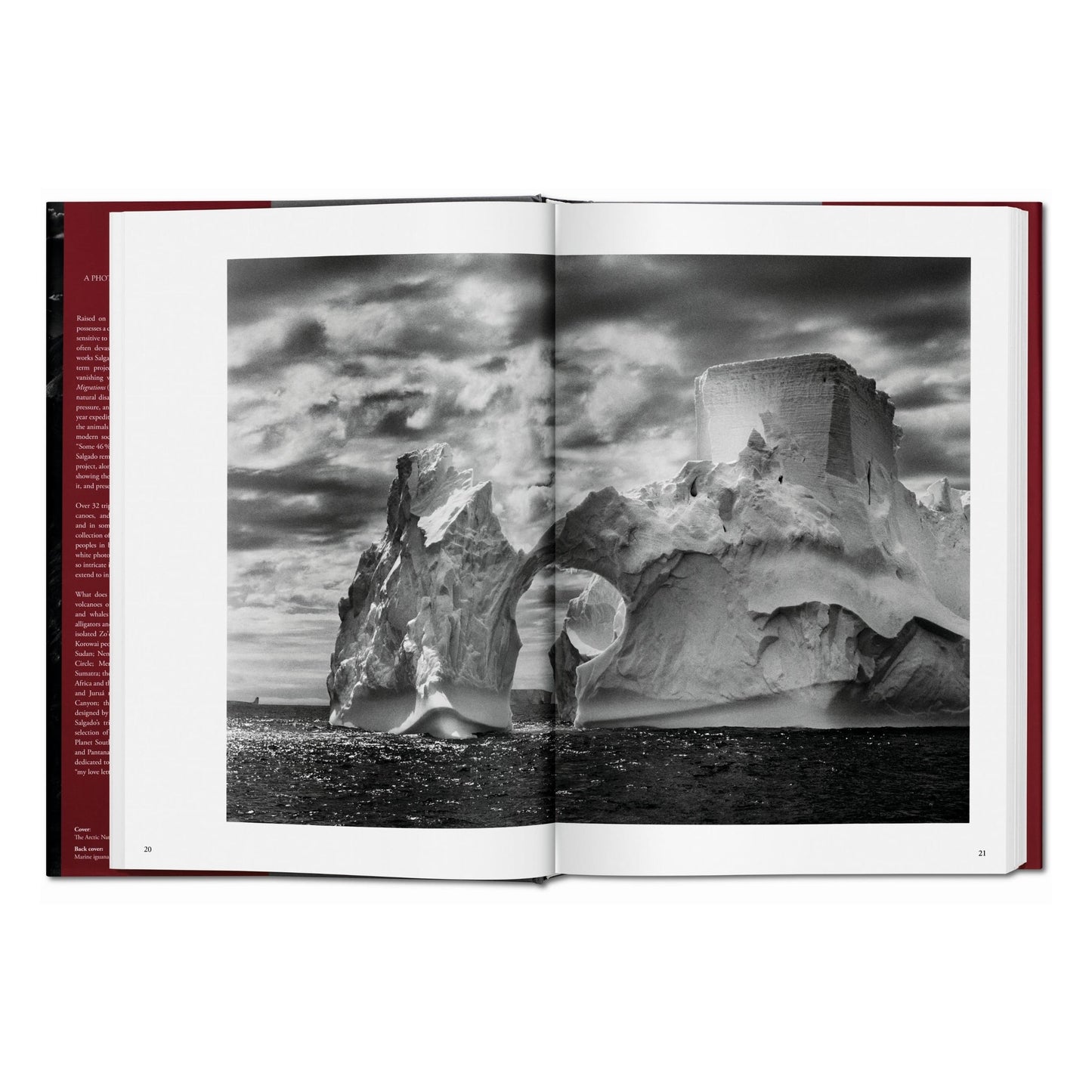 Sebastião Salgado. Genesis (English)