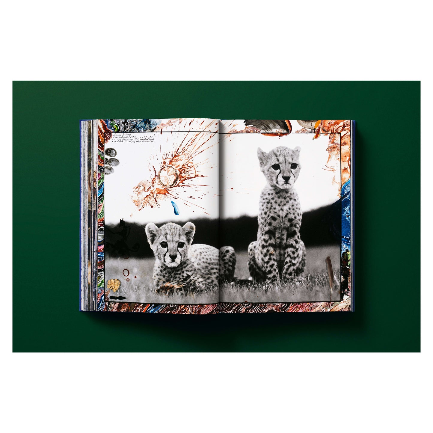 Peter Beard (German, French, English)