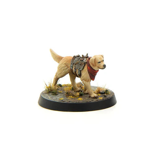 Fallout: Miniatures - Wasteland Survivors Core Set - Golden Apple Comics