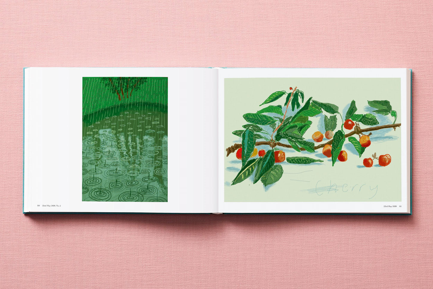 David Hockney. 220 for 2020 (English)