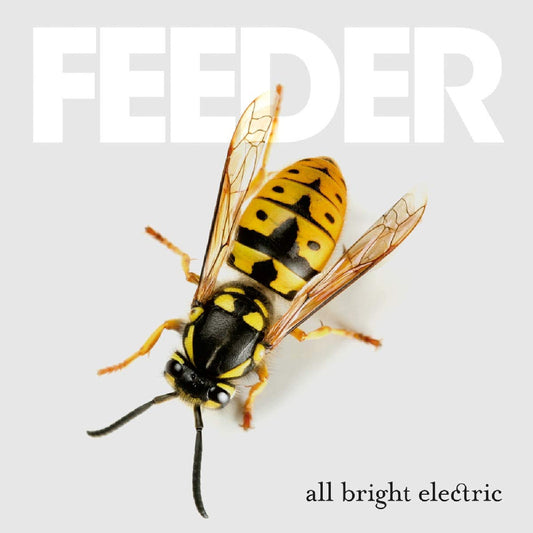 All Bright Electric (Deluxe Edition) (Vinyl)