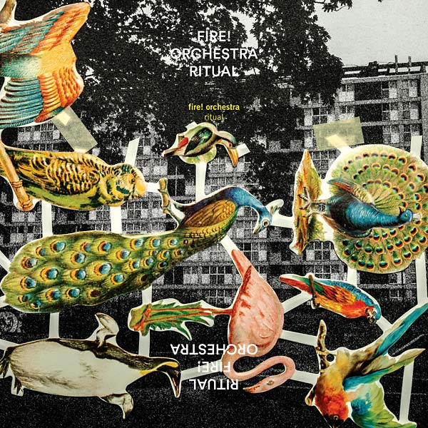 Ritual (Vinyl) – Golden Apple Comics