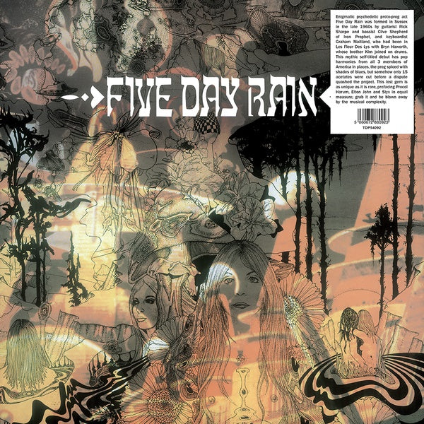 Five Day Rain (Vinyl)