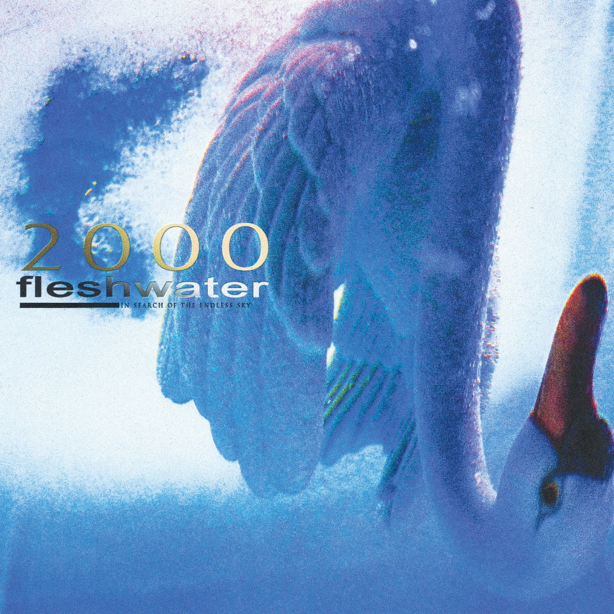 2000: In Search Of The Endless Sky (CD)