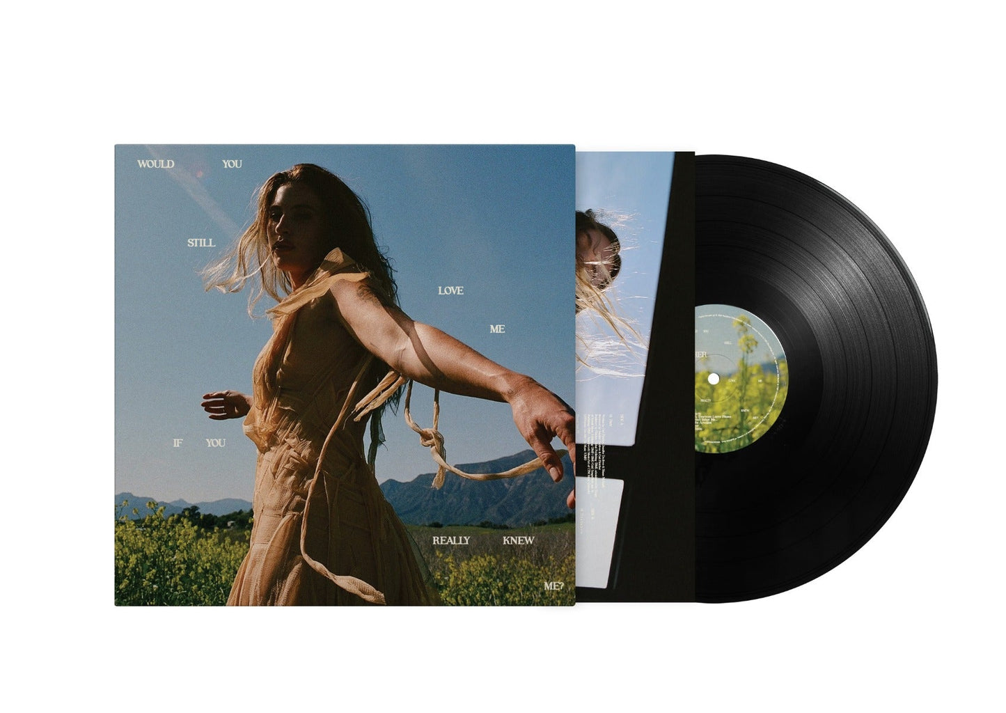 Would You Still Love Me If You Really Knew Me? [Lp] (Vinyl)