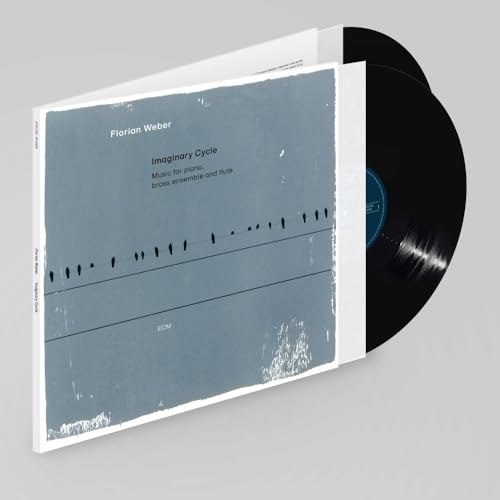 Imaginary Cycle [2 LP] (Vinyl)