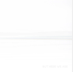 Foo Fighters But Here We Are (Black Vinyl) [Vinyl]