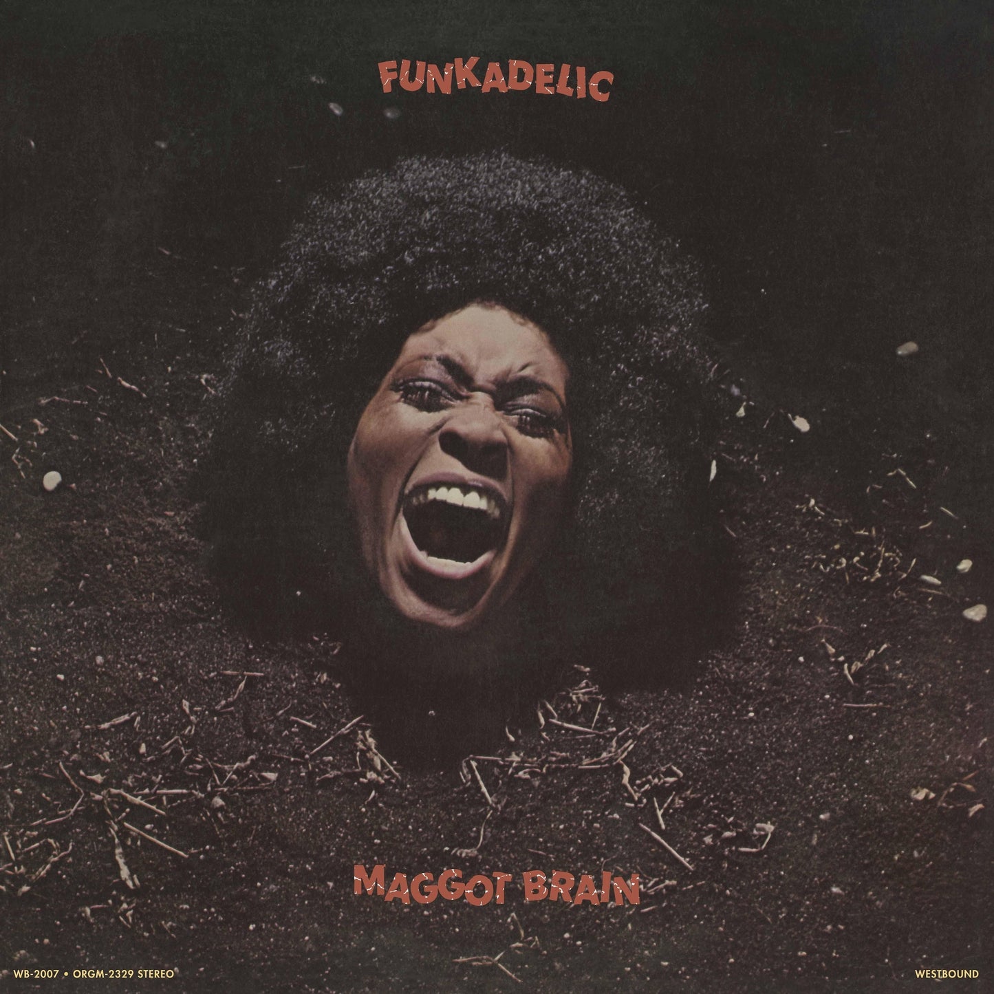 PRE-ORDER Funkadelic - Maggot Brain [Black LP] [Vinyl]