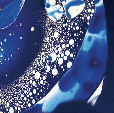 Mysterious Smile of a Buddhist Image (Vinyl)