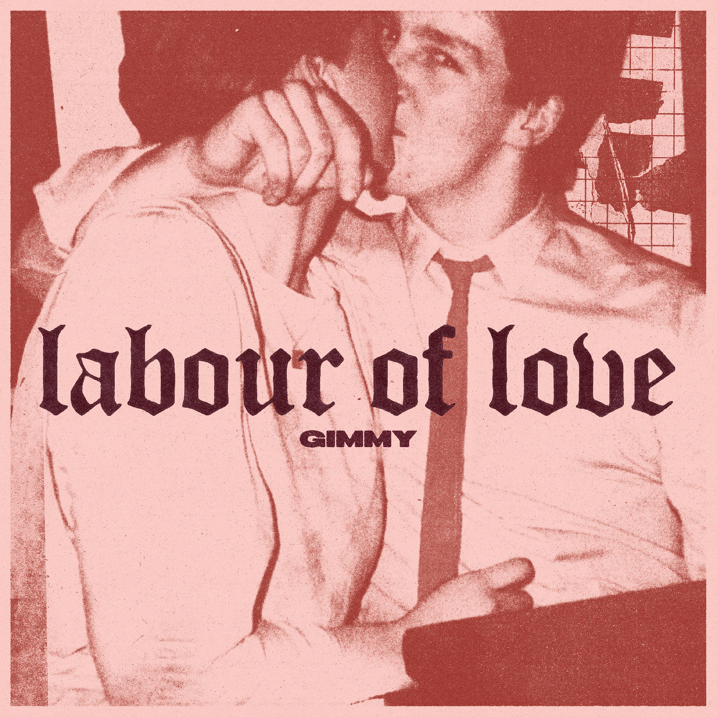 Labour Of Love [Vinyl] - Golden Apple Comics