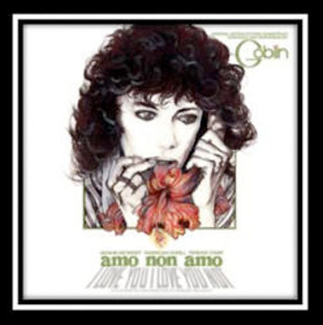 Amo Non Amo (Vinyl)