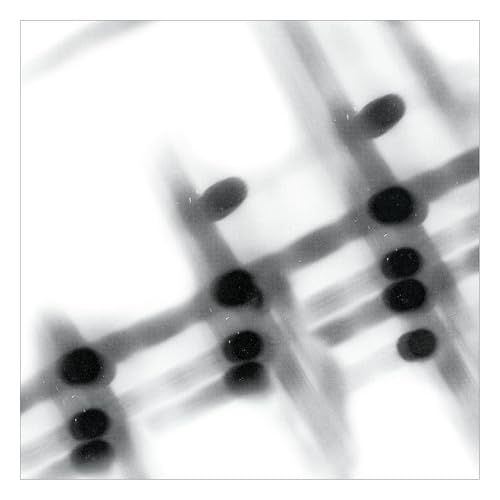 40:13.5 (Vinyl)