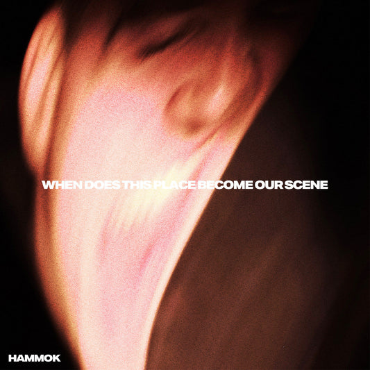 When Does This Place Become Our Scene (Indie Exclusive, Red Vinyl) [Vinyl]