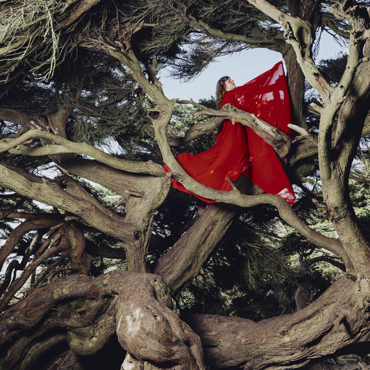 Nested In Tangles (Ruby Red Vinyl) (Vinyl)