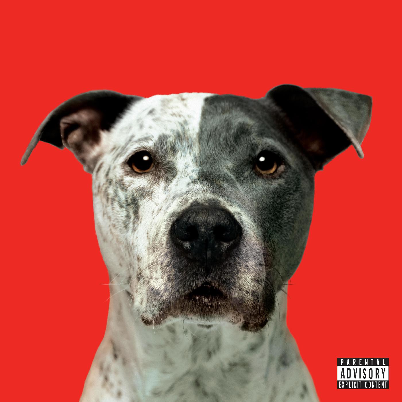 FLIGHT (CD)