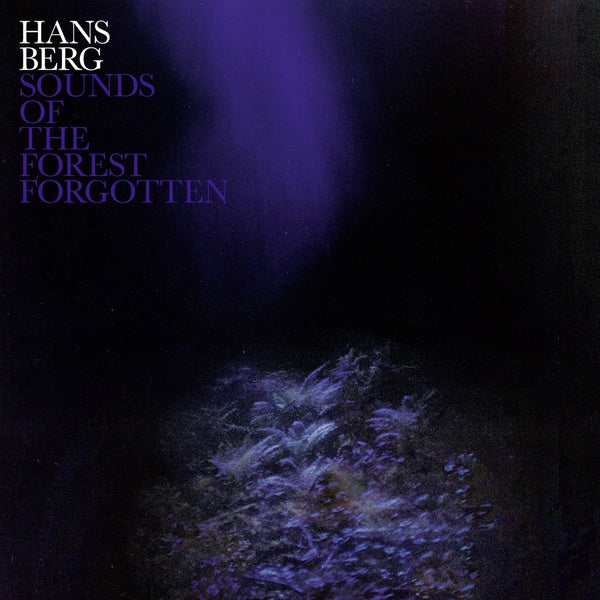 Sounds Of The Forest Forgotten (Vinyl) - Golden Apple Comics