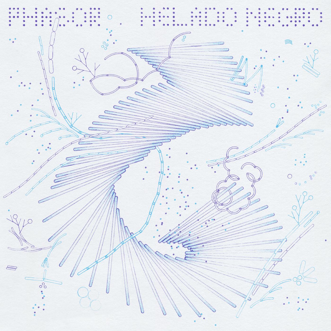Phasor (CD)